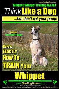 Whippet, Whippet Training AAA Akc: Think Like a Dog, But Don't Eat Your Poop! - Whippet Breed Expert Training -: Here's Exactly How to Train Your Whip