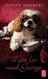 The Lord of the Rings the Two Towers