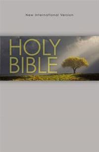 Holy Bible-NIV