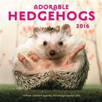 Adorable Hedgehogs 2016 Calendar