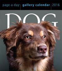 Dog 2016 Gallery Calendar