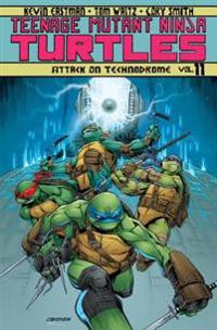 Teenage Mutant Ninja Turtles 11
