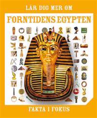 Fakta i fokus : Lär dig mer om forntidens Egypten