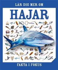 Fakta i fokus : Lär dig mer om hajar