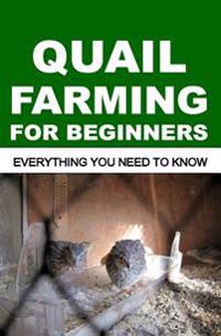 Quail Farming for Beginners: Everything You Need to Know