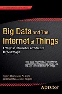 Big Data and the Internet of Things