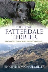 The Great Patterdale Terrier