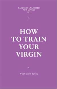 How to Train Your Virgin: New Lovers Series #1
