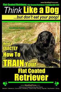 Flat Coated Retriever, Flat Coated Retriever Training AAA Akc - Think Like a Dog But Don't Eat Your Poop! - Flat Coated Retriever Breed Expert Trainin