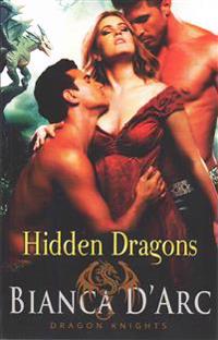 Hidden Dragons: Dragon Knights
