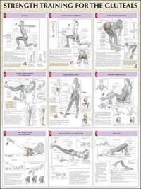 Strength Training For The Gluteals