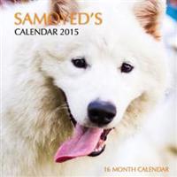 Samoyed Calendar 2015: 16 Month Calendar