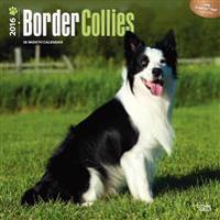 Border Collies 2016 Calendar