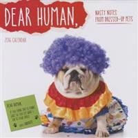 Dear Human 2016 Calendar
