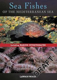 Sea Fishes of the Mediterranean Including Marine Invertebrates