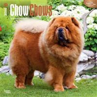 Chow Chows 2016 Calendar