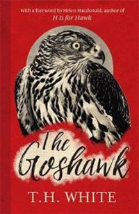 The Goshawk