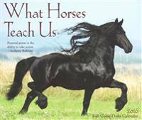 What Horses Teach Us Calendar