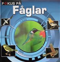 Fokus på : Fåglar