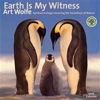 Earth Is My Witness: Spiritual Ecology: Honoring the Sacredness of Nature