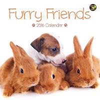 Furry Friends 2016 Calendar