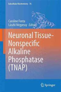 Neuronal Tissue-Nonspecific Alkaline Phosphatase (TNAP)