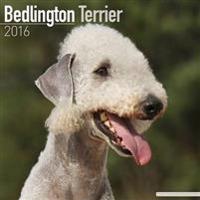 Bedlington Terrier Calendar 2016