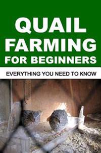 Quail Farming for Beginners: Everything You Need to Know