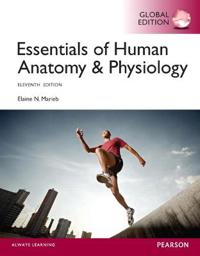 Essentials of Human Anatomy & Physiology OLP with eText
