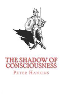 The Shadow of Consciousness: A Little Less Wrong