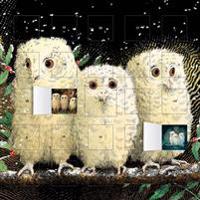 Owl Babies Advent Calendar (with Stickers)