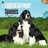 English Springer Spaniels 2016 Calendar