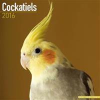 Cockatiels Calendar 2016