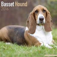 Basset Hound Calendar 2016