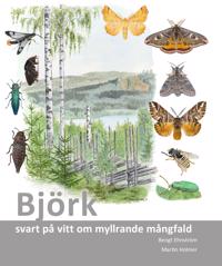 Björkboken : svart på vitt om myllrande mångfald