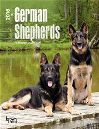 German Shepherds 2016 Calendar