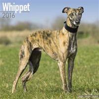 Whippet Calendar 2016