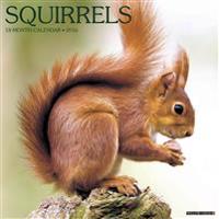 Squirrels Wall Calendar
