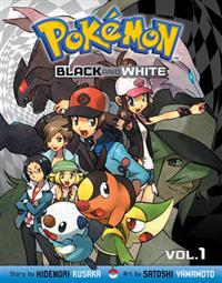 Pokemon Black & White
