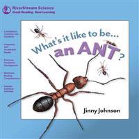 An Ant?