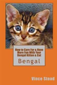 How to Care for & Have More Fun with Your Bengal Kitten & Cat
