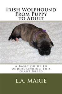 Irish Wolfhound from Puppy to Adult: A Basic Guide to Understanding This Giant Breed