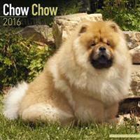 Chow Chow Calendar 2016