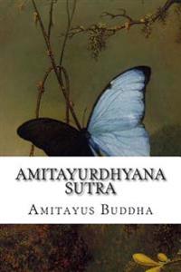Amitayurdhyana Sutra: The Buddha-Mindfulness Sutra of Amitayus, with Complementary Sutra of Transcendental Wisdom