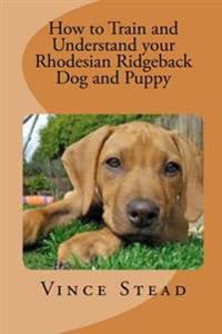How to Train and Understand Your Rhodesian Ridgeback Dog and Puppy