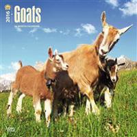 Goats 2016 Calendar
