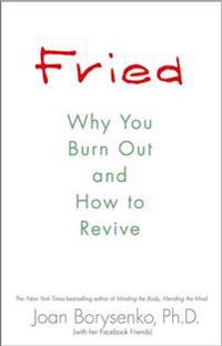 Fried: Why You Burn Out and How to Revive