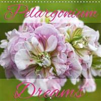 Pelargonium Dreams