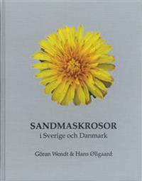 Sandmaskrosor i Sverige och Danmark