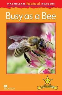 Macmillan Factual Readers Level 1+: Busy as a Bee